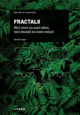 Fractalii. Nici norii nu sunt sfere, nici muntii nu sunt conuri. Mari idei ale matematicii, vol. 11 foto