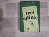 Trei oglinzi de Mircea Horia Simionescu