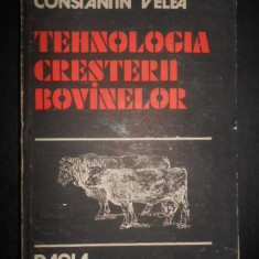 Constantin Velea - Tehnologia cresterii bovinelor (1983, editie cartonata)