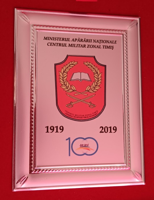 D16 22 - Placheta - Centrul militar zonal Timis 100 ani - 1919 - 2019