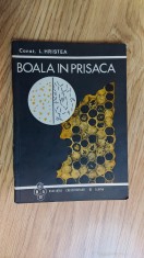Boala In Prisaca - Constantin Hristea , stare foarte buna !