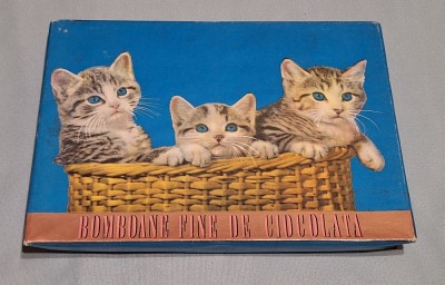 Bomboane fine de ciocolata - Intreprinderea de produse zaharoase DEZROBIREA, anul 1971, imagine pisicute, cutie veche de colectie foto