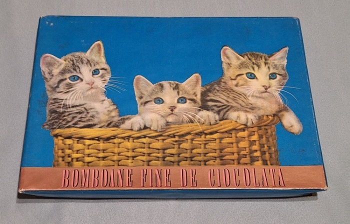 Bomboane fine de ciocolata - Intreprinderea de produse zaharoase DEZROBIREA, anul 1971, imagine pisicute, cutie veche de colectie