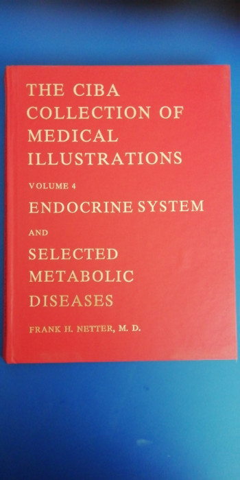 myh 33f - Album CIBA collection- Endocrine system - NETTER - lb engleza - 1981