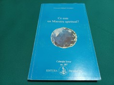 CE ESTE UN MAESTRU SPIRITUAL? * OMRAMM MIKHAEL AIVAHOV / 1994 * 34 foto