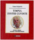 Victor Teisanu - Timpul dintre cuvinte - 126569