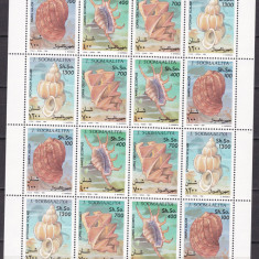 Somalia 1994 fauna marina scoici MI 507-510 kleib. MNH