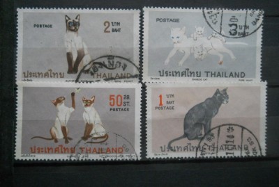 CV2 SERIE THAILANDA foto