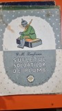 SUFLETUL SOLDATILOR DE PLUMB - G.M. ZAMFIRESCU
