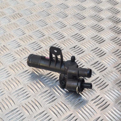 Termostat DACIA SANDERO II 2014 OEM: 8200954328C | 1613513 foto