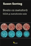 Boala ca metafora. SIDA şi metaforele sale