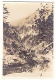 2619 - Gorj, SURDUK PASS, Romania - old postcard - unused - 1918