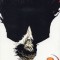 Bleach, Volume 8: The Blade and Me