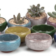 Ghiveci pentru plante suculente T 2 inch, ceramică, crack Zisha, ghiveci pentru