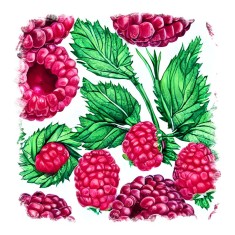 Sticker decorativ Zmeura, Roz, 55 cm, 11016ST foto