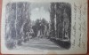 Carte postala, Orsova, Capela Coroanei, inceput de secol XX