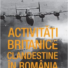 Activitati britanice clandestine in Romania in timpul celui de-al Doilea Razboi Mondial - Dennis Deletant