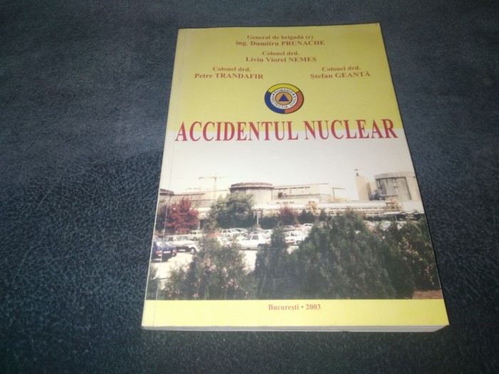 DUMITRU PRUNACHE - ACCIDENTUL NUCLEAR