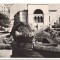 CPIB 17533 CARTE POSTALA - TIMISOARA. PE B-dul &quot;30 DECEMBRIE&quot;, RPR