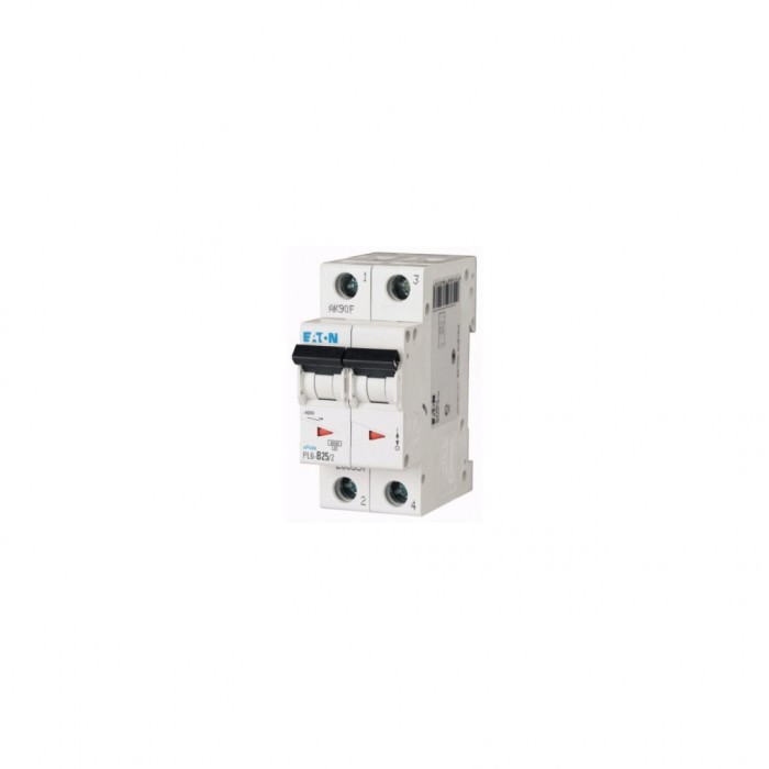 Siguranta intrerupator automat 32A 2P C 6KA