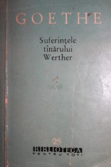 SUFERINTELE TANARULUI WERTHER foto