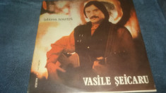 VINIL VASILE SEICARU IUBIREA NOASTRA foto