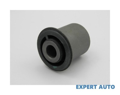 Bucsa brat Nissan X-Trail (2001-2013)[T30] #1 foto