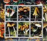 REPUBLICA DEMOCRATA CONGO-CIUPERCII- 6 valori in coala mica-dantelata- MNH**-RDC 094