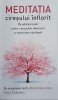 Meditatia ciresului inflorit. Un ghid personal pentru cunoasterea interioara si maturizarea spirituala - Anca Ciobotaru