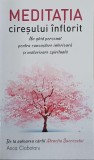 Meditatia ciresului inflorit. Un ghid personal pentru cunoasterea interioara si maturizarea spirituala - Anca Ciobotaru