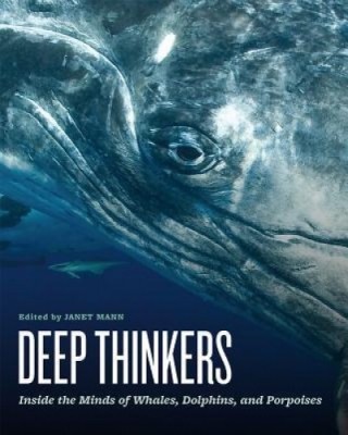 Deep Thinkers: Inside the Minds of Whales, Dolphins, and Porpoises foto