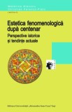 Estetica fenomenologică după centenar. Mădălina Diaconu, C, F-Flatz (editori)