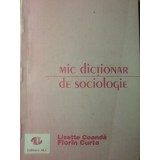 MIC DICTIONAR DE SOCIOLOGIE-LISETTE COANDA, FLORIN CURTA-235072