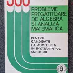 500 PROBLEME PREGATITOARE DE ALGEBRA SI ANALIZA MATEMATICA - Liviu Pirsan