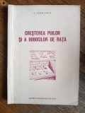 Cresterea puilor si a bobocilor de rata - S. Stoicescu / R1S