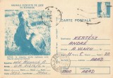 *Romania, Animale ocrotite in Romania, Acvile, c. p. s. circulata intern, 1978