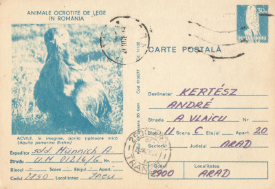 *Romania, Animale ocrotite in Romania, Acvile, c. p. s. circulata intern, 1978 foto