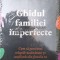 Ghidul familiei imperfecte - Nedra Glover Tawwab ($T121)