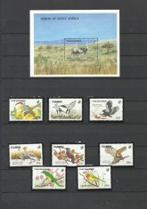 GAMBIA 1989 FAUNA PASARI foto