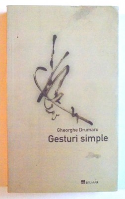 GESTURI SIMPLE de GHEORGHE DRUMARU , 2004 foto