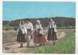 bnk cp Drobeta Turnu Severin - Costume populare din Mehedinti - necirculata