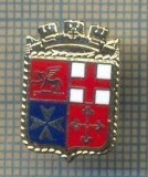 Y 1025 INSIGNA - EMBLEMA -PENTRU COLECTIONARI