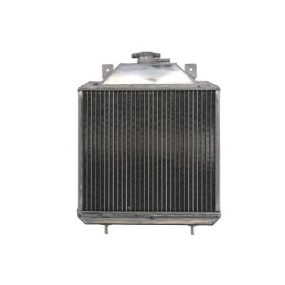 RADIATOR POLARIS BIG BOSS MAGNUM SCRAMBLER SPORT SPORTSMAN XPLORER 400/425/500 1994 2001 foto