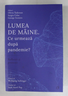 LUMEA DE MAINE . CE URMEAZA DUPA PANDEMIE ? de OLIVIA TODEREAN ...GEORGE SCUTARU , 2020 foto