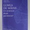 LUMEA DE MAINE . CE URMEAZA DUPA PANDEMIE ? de OLIVIA TODEREAN ...GEORGE SCUTARU , 2020