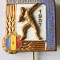 INSIGNA SPARTACHIADA TINERETULUI 1957 ARUNCAREA GREUTATII ALT TIP RPR (CITITI DESCRIEREA)