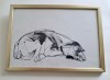 Compozitie grafica - catel adormit, Animale, Cerneala, Altul