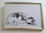 Compozitie grafica - catel adormit, Animale, Cerneala, Altul