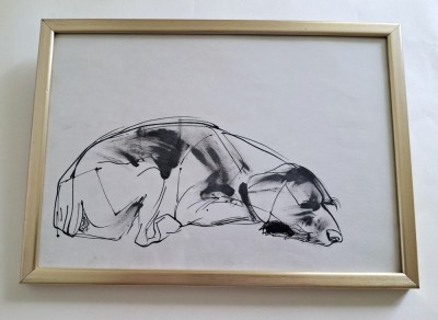Compozitie grafica - catel adormit foto