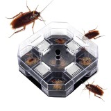 Capcana cu momeala pentru gandaci, 4 puncte de intrare, 13.5 x 13.5 x cm, plastic rezistent